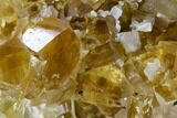 Lustrous Yellow Calcite Crystal Cluster - Fluorescent! #125168-2